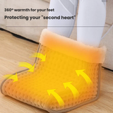 Electric foot warmer