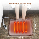 Electric foot warmer