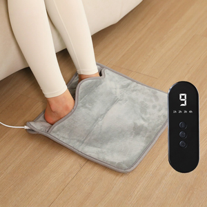 Electric foot warmer