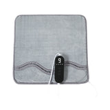 Electric foot warmer